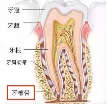 25歲還可以矯正牙齒嗎