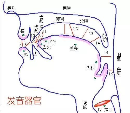 雨女無瓜，不標(biāo)準(zhǔn)的發(fā)音可能與牙縫有關(guān)哦