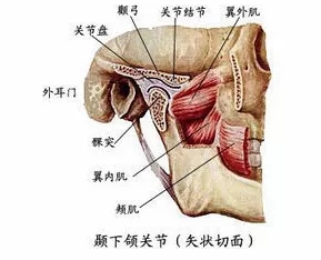 深覆頜危害